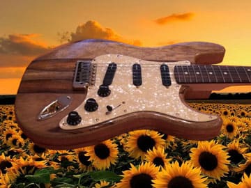 custom-strat-version-2