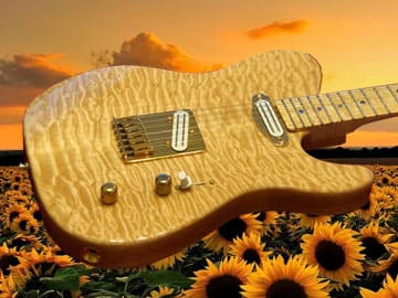custom-telecaster-2