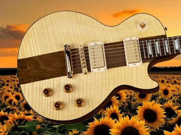 gibson-les-paul-spotlight