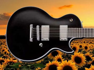 gibson-paul-landers-guitar