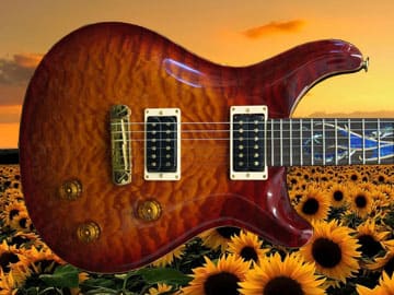prs-dragon-3